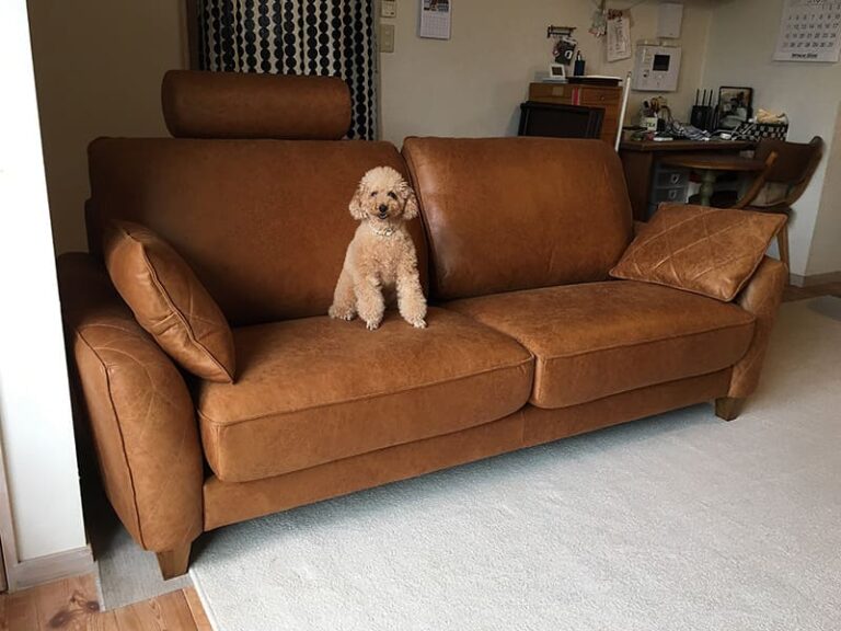 casestudy_208